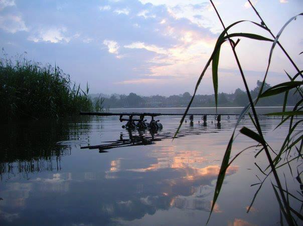 Net stuff - 936097617910571566961130381211n.jpg